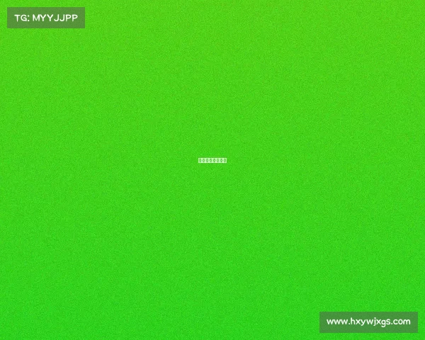 鲁能足校赛事分析