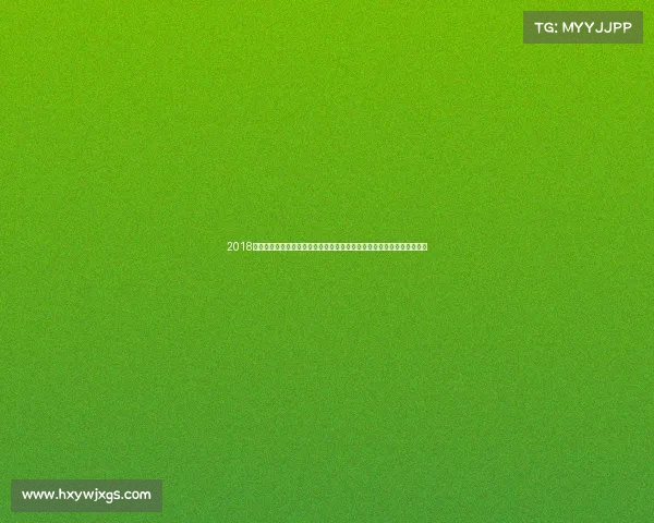 2018搏击巅峰之年全球顶尖赛事激战连场英雄崛起热血沸腾精彩瞬间永恒铭记